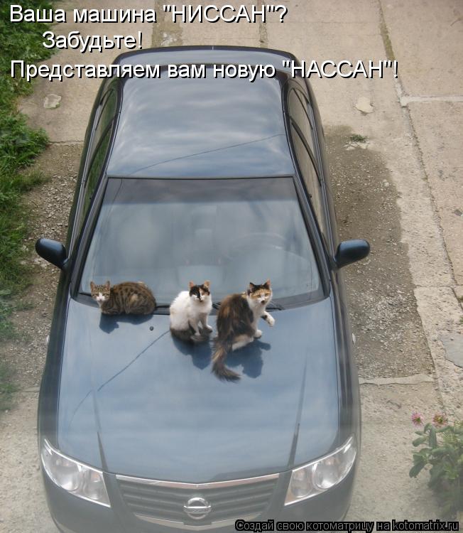 Ваша машина "НИССАН"? Забудьте! Представляем вам новую "НАССАН"!... Котоматрица: Ваша машина "НИССАН"? Забудьте! Представляем вам новую "НАССАН"!