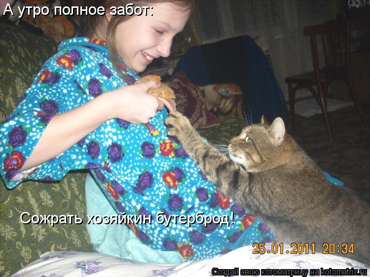 А утро полное забот: Сожрать хозяйкин бутерброд!... Котоматрица: А утро полное забот: Сожрать хозяйкин бутерброд!