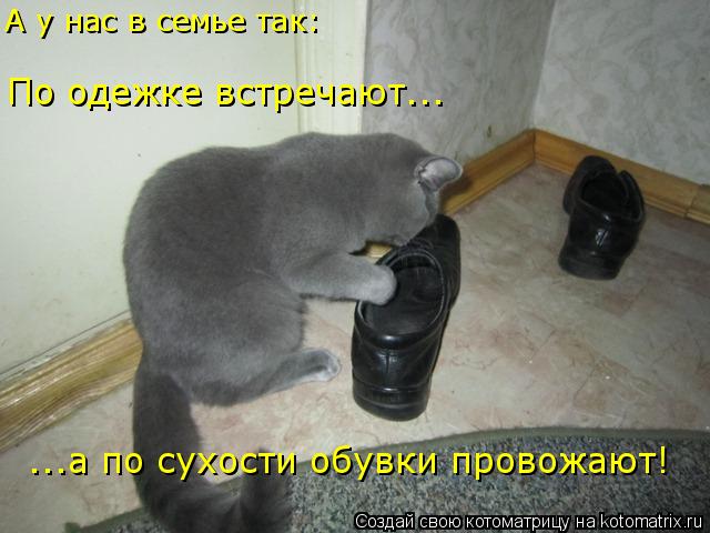 ...а по сухости обувки провожают! По одежке встречают... А у нас в семье так:... Котоматрица: ...а по сухости обувки провожают! По одежке встречают... А у нас в семье так: