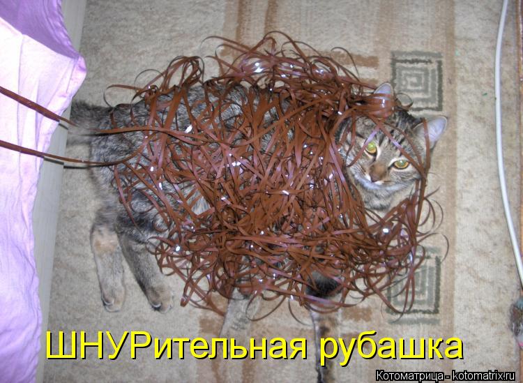 ШНУРительная рубашка... Котоматрица: ШНУРительная рубашка