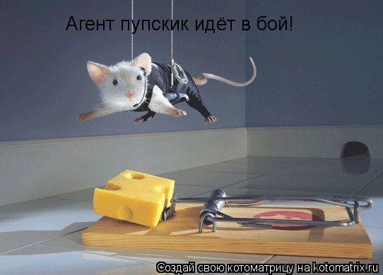 Агент пупскик идёт в бой!... Котоматрица: Агент пупскик идёт в бой!