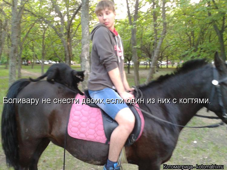 Боливару не снести двоих,если один из них с когтями.... Котоматрица: Боливару не снести двоих,если один из них с когтями.