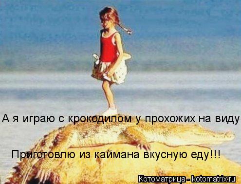 А я играю с крокодилом у прохожих на виду! Приготовлю из каймана вкусную еду!!!... Котоматрица: А я играю с крокодилом у прохожих на виду! Приготовлю из каймана вкусную еду!!!