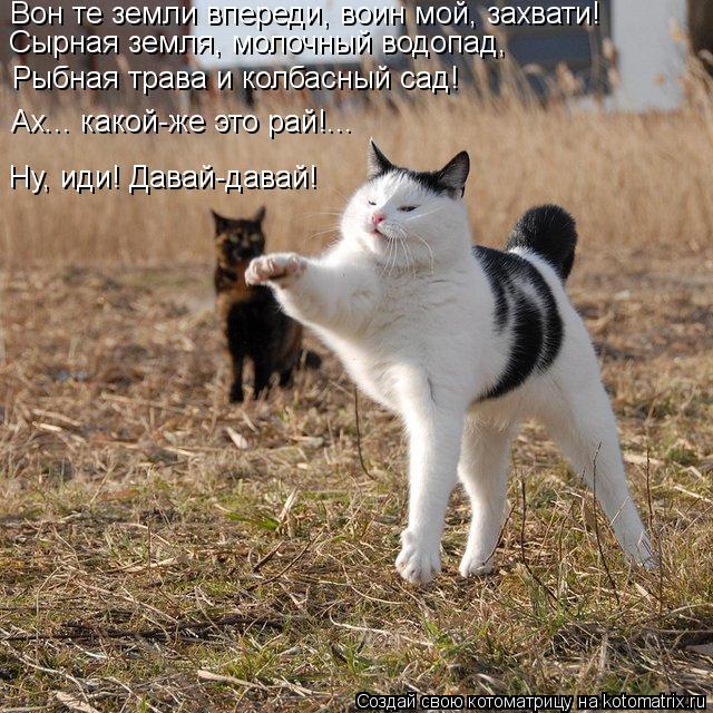 Вон те земли впереди, воин мой, захвати! Сырная земля, молочный водопад, Рыбная трава и колбасный са... Котоматрица: Вон те земли впереди, воин мой, захвати! Сырная земля, молочный водопад, Рыбная трава и колбасный сад! Ах... какой-же это рай!... Ну, иди! Давай-д