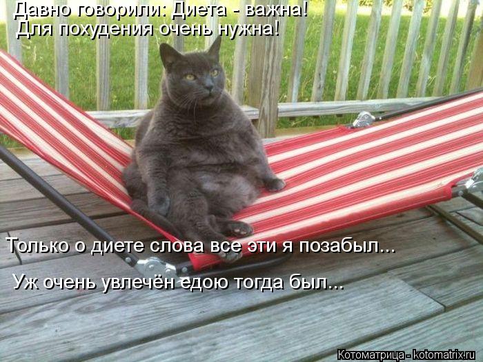 Давно говорили: Диета - важна! Для похудения очень нужна! Только о диете слова все эти я позабыл... У... Котоматрица: Давно говорили: Диета - важна! Для похудения очень нужна! Только о диете слова все эти я позабыл... Уж очень увлечён едою тогда был...