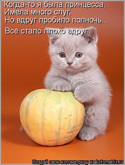 Когда-то я была принцесса, Имела много слуг, Но вдруг пробило полночь... Всё стало плохо вдруг...... Котоматрица: Когда-то я была принцесса, Имела много слуг, Но вдруг пробило полночь... Всё стало плохо вдруг...