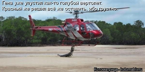 Гена уже упустил как-то голубой вертолет. Красный же решил всё же оставить, ибо грустно.... Котоматрица: Гена уже упустил как-то голубой вертолет. Красный же решил всё же оставить, ибо грустно.