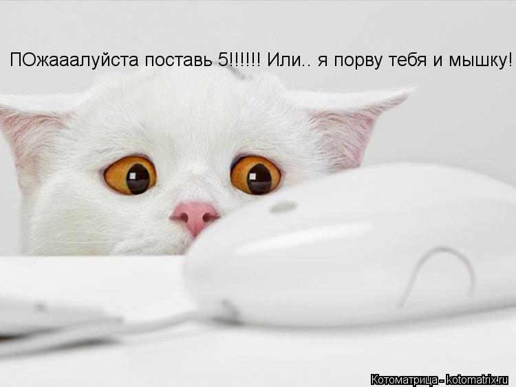 ПОжааалуйста поставь 5!!!!!! Или.. я порву тебя и мышку!... Котоматрица: ПОжааалуйста поставь 5!!!!!! Или.. я порву тебя и мышку!