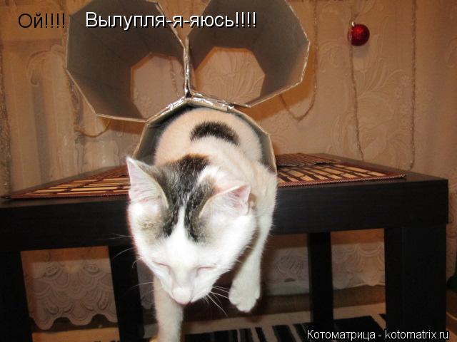 Ой!!!! Вылупля-я-яюсь!!!!... Котоматрица: Ой!!!! Вылупля-я-яюсь!!!!
