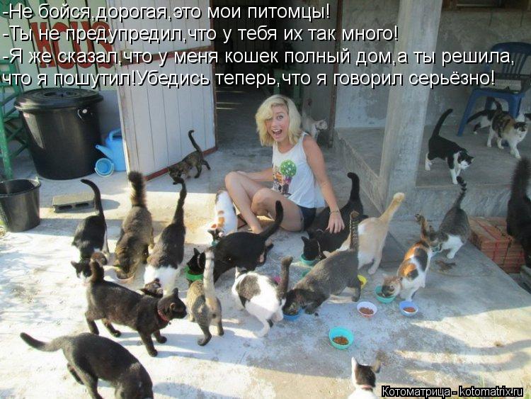 -Не бойся,дорогая,это мои питомцы! -Ты не предупредил,что у тебя их так много! -Я же сказал,что у мен... Котоматрица: -Не бойся,дорогая,это мои питомцы! -Ты не предупредил,что у тебя их так много! -Я же сказал,что у меня кошек полный дом,а ты решила, что я пошути