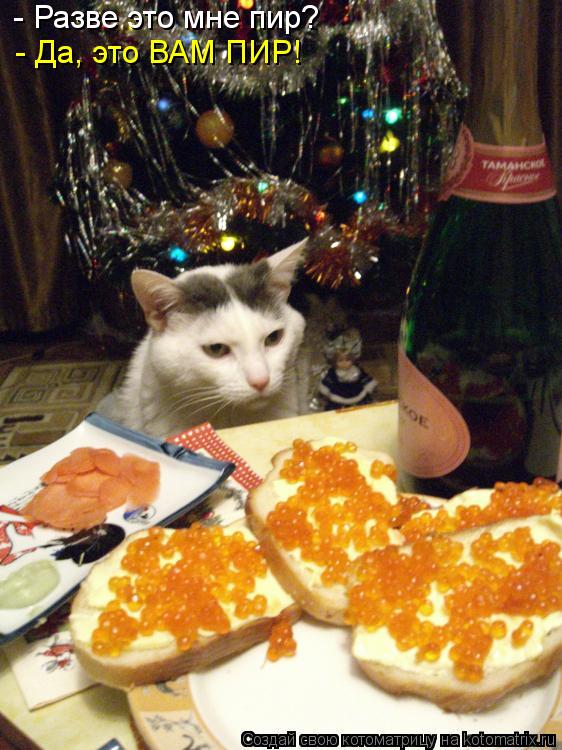 - Разве это мне пир? - Да, это ВАМ ПИР!... Котоматрица: - Разве это мне пир? - Да, это ВАМ ПИР!