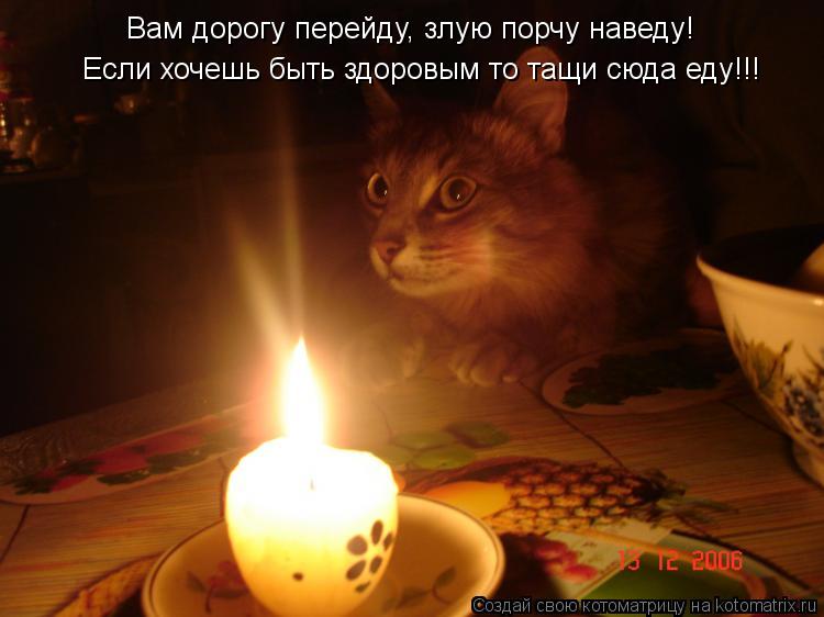 Вам дорогу перейду, злую порчу наведу! Если хочешь быть здоровым то тащи сюда еду!!!... Котоматрица: Вам дорогу перейду, злую порчу наведу! Если хочешь быть здоровым то тащи сюда еду!!!