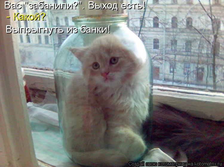 Вас "забанили?". Выход есть! - Какой? Выпрыгнуть из банки!... Котоматрица: Вас "забанили?". Выход есть! - Какой? Выпрыгнуть из банки!