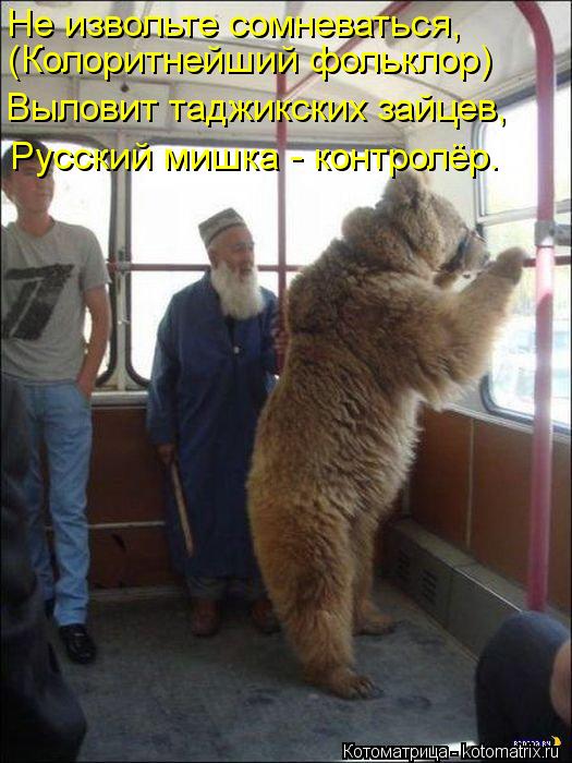 Не извольте сомневаться, Выловит таджикских зайцев, (Колоритнейший фольклор) Русский мишка - контролё... Котоматрица: Не извольте сомневаться, Выловит таджикских зайцев, (Колоритнейший фольклор) Русский мишка - контролёр.