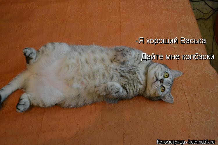 -Я хороший Васька Дайте мне колбаски... Котоматрица: -Я хороший Васька Дайте мне колбаски