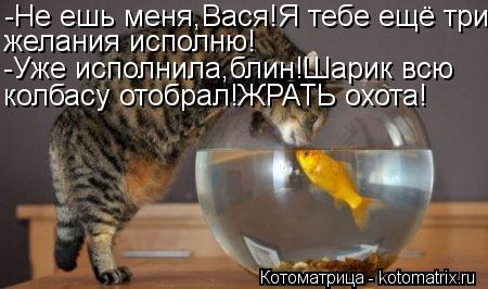 -Не ешь меня,Вася!Я тебе ещё три желания исполню! -Уже исполнила,блин!Шарик всю колбасу отобрал!ЖРАТЬ... Котоматрица: -Не ешь меня,Вася!Я тебе ещё три желания исполню! -Уже исполнила,блин!Шарик всю колбасу отобрал!ЖРАТЬ охота!