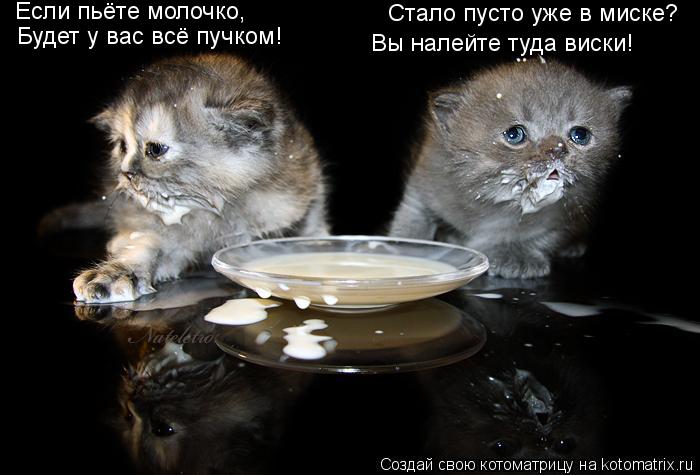 Если пьёте молочко, Будет у вас всё пучком! Стало пусто уже в миске? Вы налейте туда виски!... Котоматрица: Если пьёте молочко, Будет у вас всё пучком! Стало пусто уже в миске? Вы налейте туда виски!