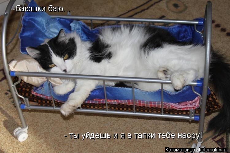 -баюшки баю.... - ты уйдешь и я в тапки тебе насру!... Котоматрица: -баюшки баю.... - ты уйдешь и я в тапки тебе насру!