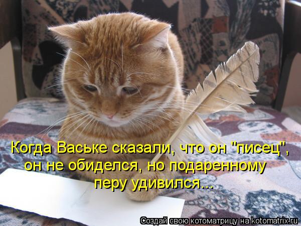 Когда Ваське сказали, что он "писец", он не обиделся, но подаренному перу удивился...... Котоматрица: Когда Ваське сказали, что он "писец", он не обиделся, но подаренному перу удивился...