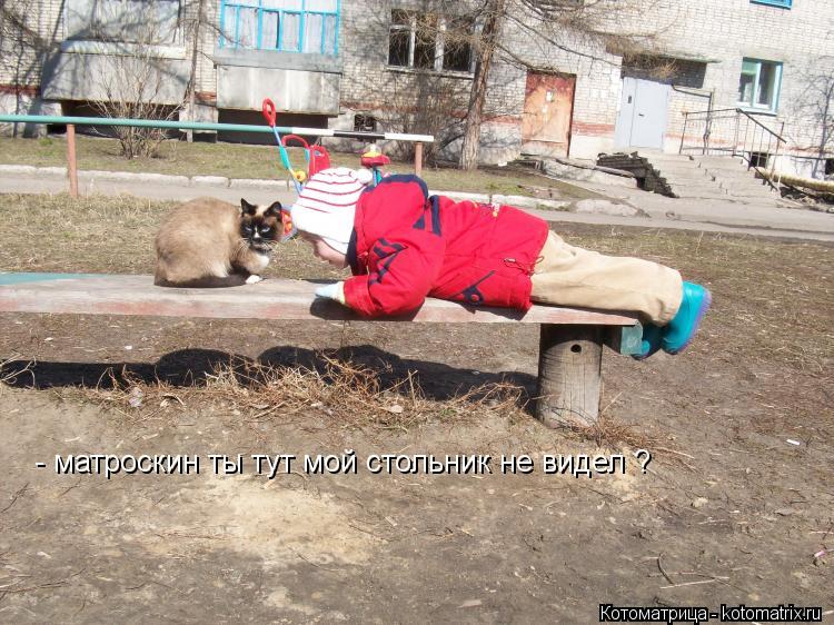 - матроскин ты тут мой стольник не видел ?... Котоматрица: - матроскин ты тут мой стольник не видел ?