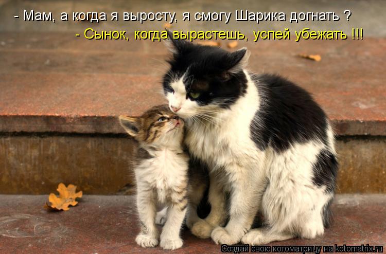 - Мам, а когда я выросту, я смогу Шарика догнать ? - Сынок, когда вырастешь, успей убежать !!!... Котоматрица: - Мам, а когда я выросту, я смогу Шарика догнать ? - Сынок, когда вырастешь, успей убежать !!!