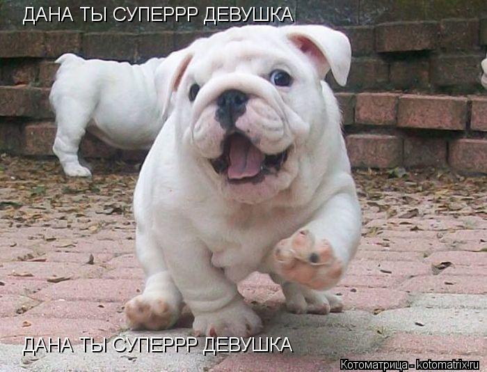 ДАНА ТЫ СУПЕРРР ДЕВУШКА ДАНА ТЫ СУПЕРРР ДЕВУШКА... Котоматрица: ДАНА ТЫ СУПЕРРР ДЕВУШКА ДАНА ТЫ СУПЕРРР ДЕВУШКА