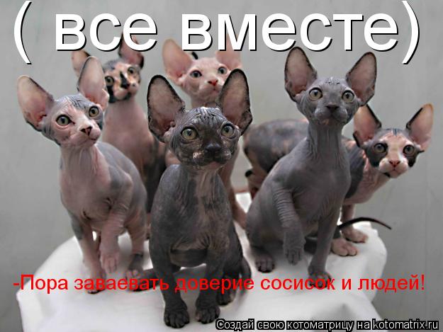 ( все вместе) -Пора заваевать доверие сосисок и людей! -Пора заваевать доверие сосисок и людей!... Котоматрица: ( все вместе) -Пора заваевать доверие сосисок и людей! -Пора заваевать доверие сосисок и людей!