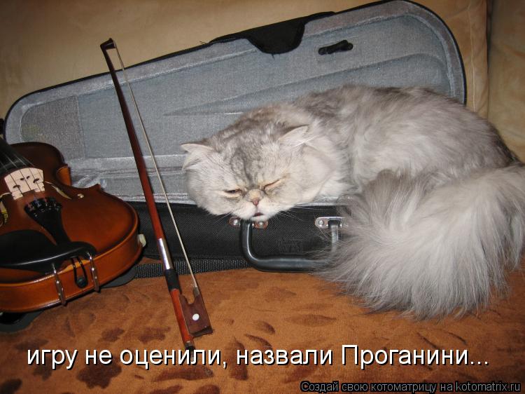 игру не оценили, назвали Проганини...... Котоматрица: игру не оценили, назвали Проганини...