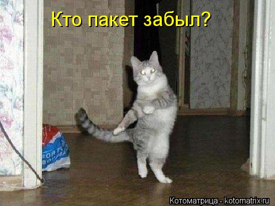 Кто пакет забыл?... Котоматрица: Кто пакет забыл?