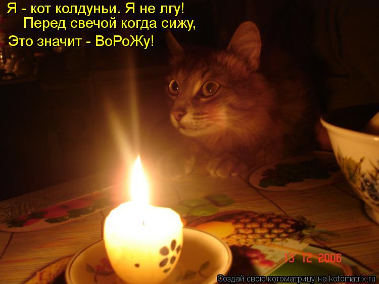 Я - кот колдуньи. Я не лгу! Перед свечой когда сижу, Это значит - ВоРоЖу!... Котоматрица: Я - кот колдуньи. Я не лгу! Перед свечой когда сижу, Это значит - ВоРоЖу!