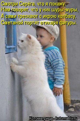 Нам говорят, что у них шуры-муры, А сами трескают с икрою колбасу, Сметаной портят втихаря фигуры. См... Котоматрица: Нам говорят, что у них шуры-муры, А сами трескают с икрою колбасу, Сметаной портят втихаря фигуры. Смотри Серёга, что я покажу,