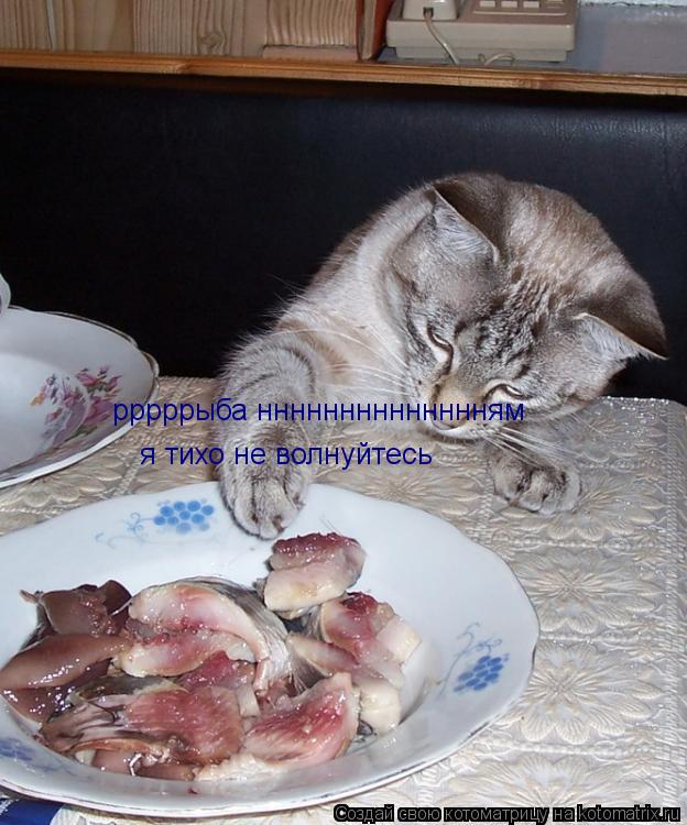 рррррыба нннннннннннннням я тихо не волнуйтесь... Котоматрица: рррррыба нннннннннннннням я тихо не волнуйтесь