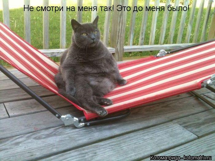 Не смотри на меня так! Это до меня было!... Котоматрица: Не смотри на меня так! Это до меня было!