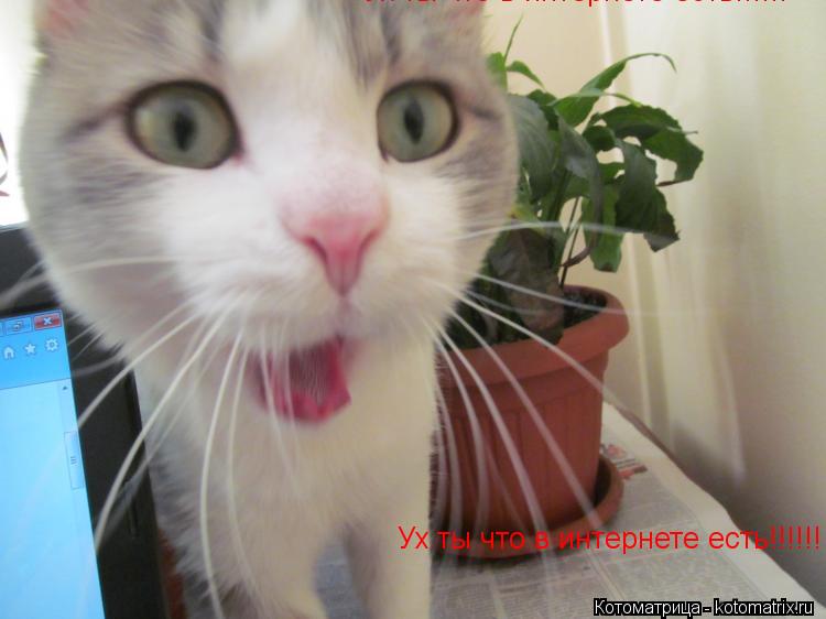 ОГО! Класс! Даааааа.... А о чём это мы? Ух ты что в интернете есть!!!!!! Ух ты что в интернете есть!!... Котоматрица: ОГО! Класс! Даааааа.... А о чём это мы? Ух ты что в интернете есть!!!!!! Ух ты что в интернете есть!!!!!!