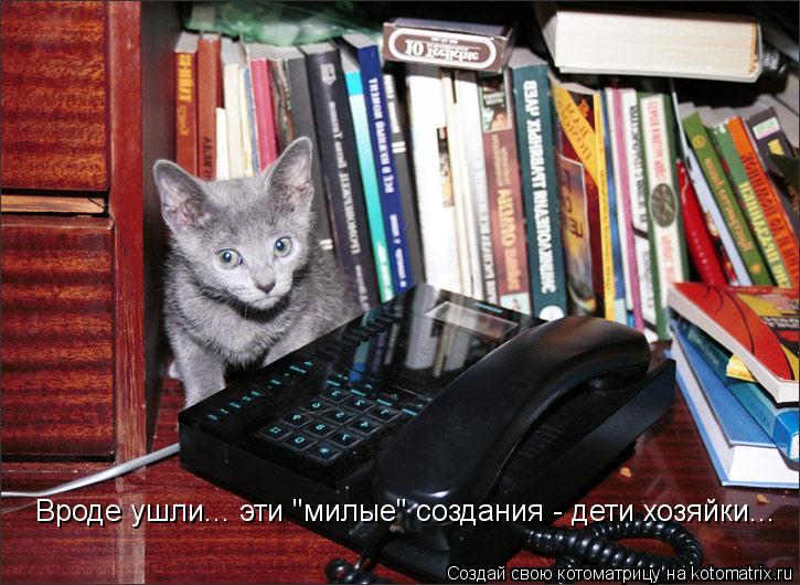 Вроде ушли... эти "милые" создания - дети хозяйки...... Котоматрица: Вроде ушли... эти "милые" создания - дети хозяйки...