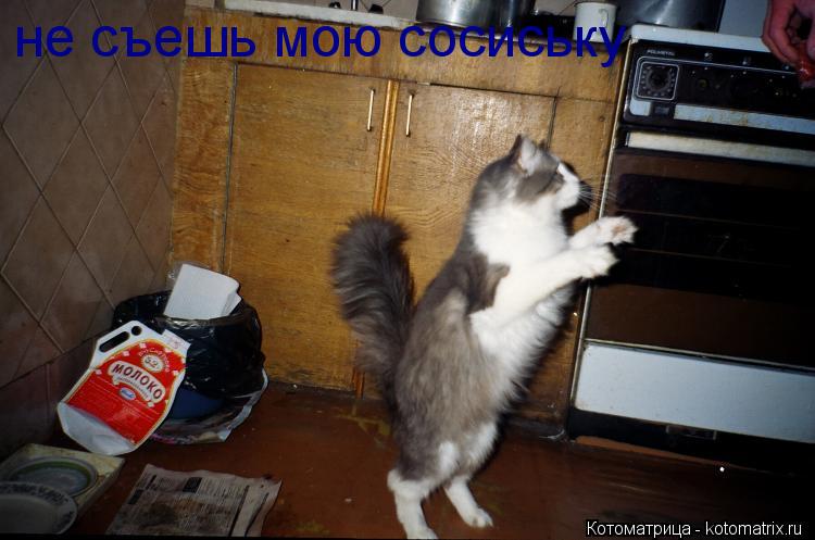 не съешь мою сосиську... Котоматрица: не съешь мою сосиську