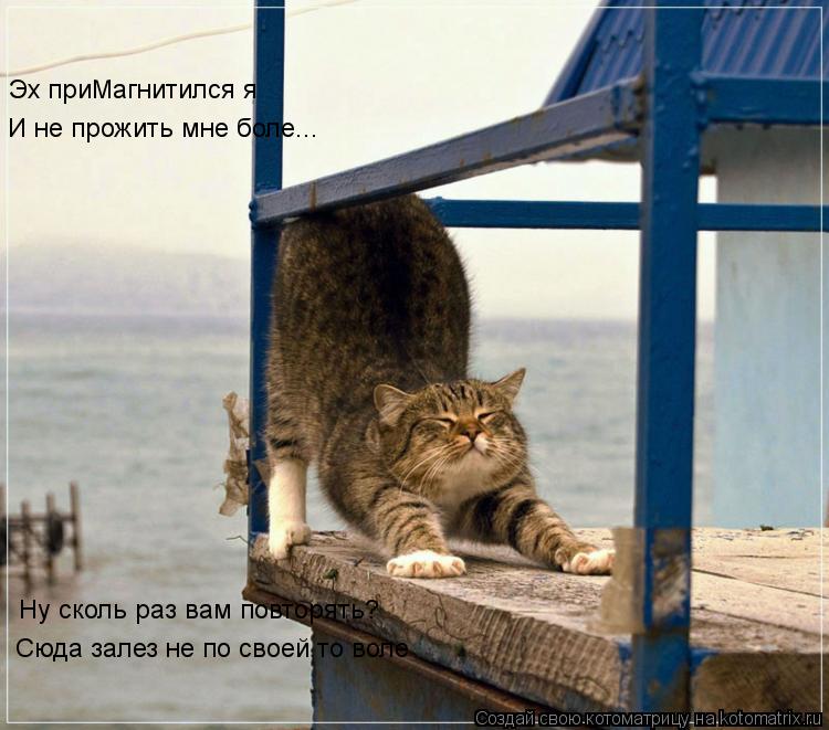 Эх приМагнитился я И не прожить мне боле... Сюда залез не по своей то воле Ну сколь раз вам повторять... Котоматрица: Эх приМагнитился я И не прожить мне боле... Сюда залез не по своей то воле Ну сколь раз вам повторять?