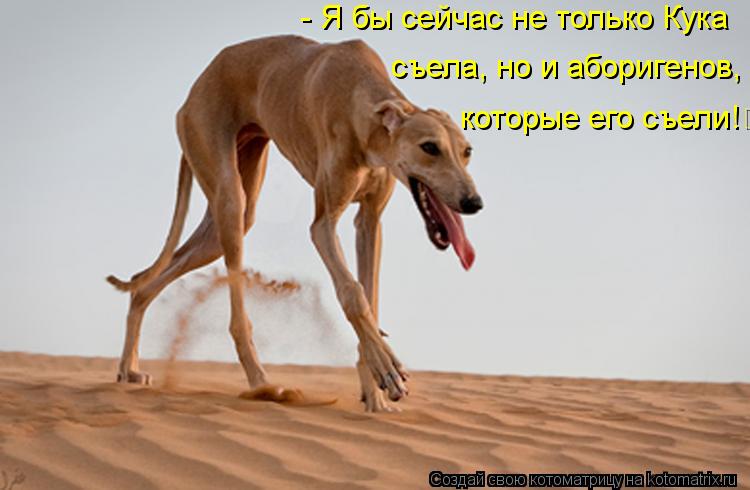 - Я бы сейчас не только Кука съела, но и аборигенов, которые его съели!... Котоматрица: - Я бы сейчас не только Кука съела, но и аборигенов, которые его съели!