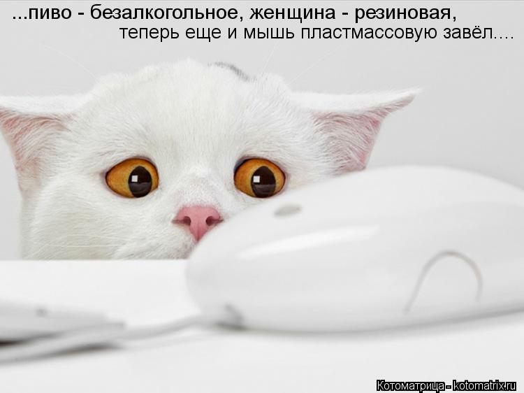 ...пиво - безалкогольное, женщина - резиновая, теперь еще и мышь пластмассовую завёл....... Котоматрица: ...пиво - безалкогольное, женщина - резиновая, теперь еще и мышь пластмассовую завёл....