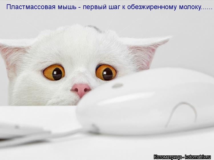 Пластмассовая мышь - первый шаг к обезжиренному молоку......... Котоматрица: Пластмассовая мышь - первый шаг к обезжиренному молоку......