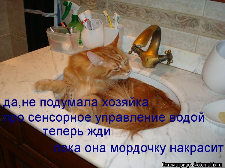 да,не подумала хозяйка про сенсорное управление водой теперь жди пока она мордочку накрасит... Котоматрица: да,не подумала хозяйка про сенсорное управление водой теперь жди пока она мордочку накрасит