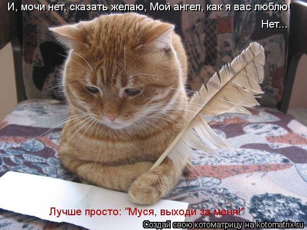 И, мочи нет, сказать желаю, Мой ангел, как я вас люблю! Нет... Лучше просто: "Муся, выходи за меня!"... Котоматрица: И, мочи нет, сказать желаю, Мой ангел, как я вас люблю! Нет... Лучше просто: "Муся, выходи за меня!"