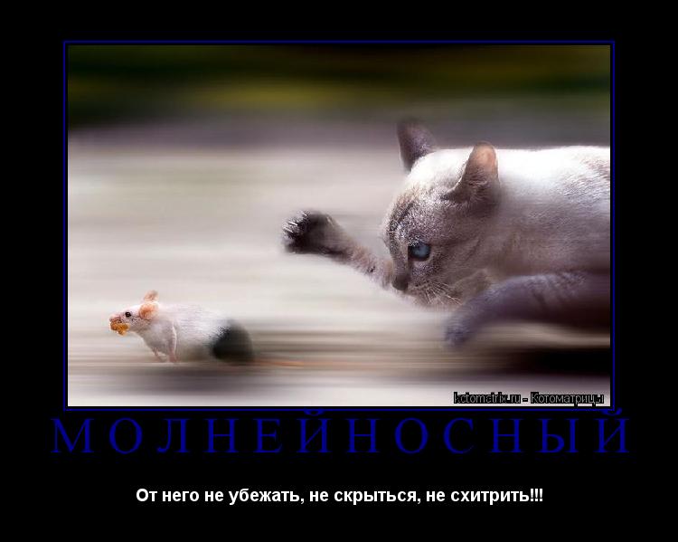 МОЛНЕЙНОСНЫЙ От него не убежать, не скрыться, не схитрить!!!... Котоматрица: МОЛНЕЙНОСНЫЙ От него не убежать, не скрыться, не схитрить!!!