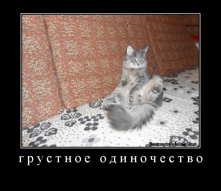 грустное одиночество ... Котоматрица: грустное одиночество