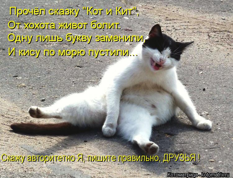 Прочёл сказку "Кот и Кит", От хохота живот болит. Одну лишь букву заменили, И кису по морю пустили...... Котоматрица: Прочёл сказку "Кот и Кит", От хохота живот болит. Одну лишь букву заменили, И кису по морю пустили... Скажу авторитетно Я, пишите правильно, ДРУ