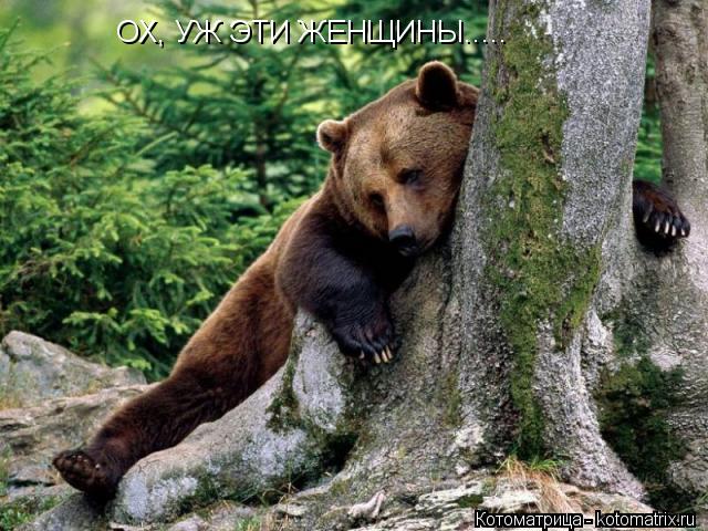 ОХ, УЖ ЭТИ ЖЕНЩИНЫ........ Котоматрица: ОХ, УЖ ЭТИ ЖЕНЩИНЫ.....