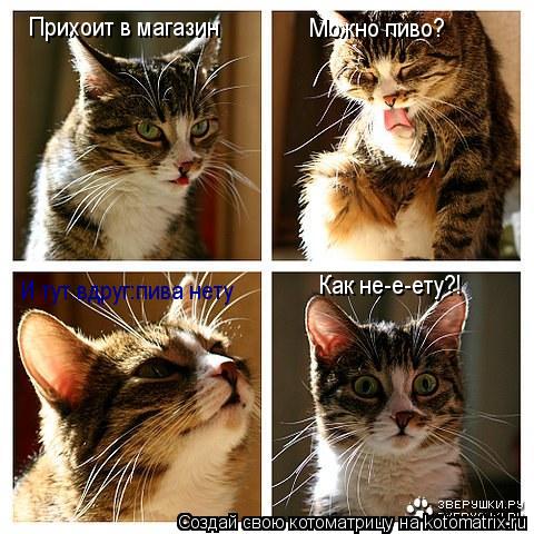 Прихоит в магазин Можно пиво? И тут вдруг:пива нету Как не-е-ету?!... Котоматрица: Прихоит в магазин Можно пиво? И тут вдруг:пива нету Как не-е-ету?!