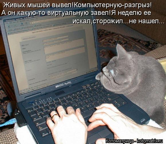Живых мышей вывел!Компьютерную-разгрыз! А он какую-то виртуальную завел!Я неделю ее искал,сторожил..... Котоматрица: Живых мышей вывел!Компьютерную-разгрыз! А он какую-то виртуальную завел!Я неделю ее искал,сторожил...не нашел...