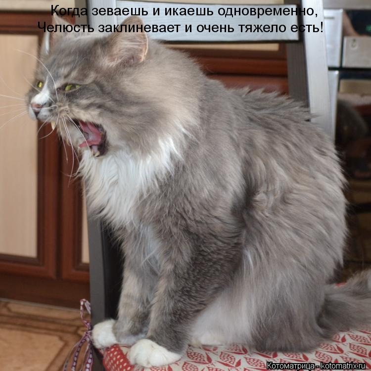 Когда зеваешь и икаешь одновременно, Челюсть заклиневает и очень тяжело есть!... Котоматрица: Когда зеваешь и икаешь одновременно, Челюсть заклиневает и очень тяжело есть!