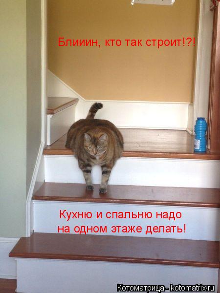 Блииин, кто так строит!?! Кухню и спальню надо на одном этаже делать!... Котоматрица: Блииин, кто так строит!?! Кухню и спальню надо на одном этаже делать!